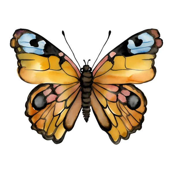 Papillon Jaune Bleu Isolé Sur Fond Blanc Vecteur Illustration Vectorielle — Image vectorielle