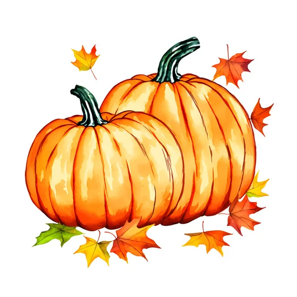 Herbst Aquarell Orangenkürbis Und Verschiedene Herbstblätter Auf Weißem Hintergrund Vektor — Stockvektor
