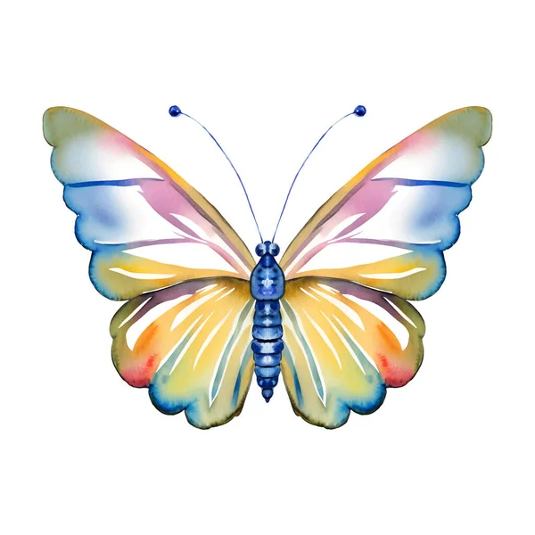 Letni Akwarela Motyl Izolowane Białe Tło Ilustracja Wektora Ilustracja Wektora — Wektor stockowy