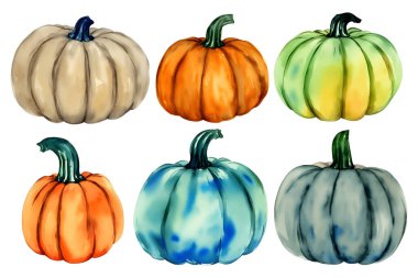 Sonbahar suluboya renkli balkabakları, yeşil turuncu ve gri renkler. Beyaz arka planda izole elementler. Vektör illüstrasyonu