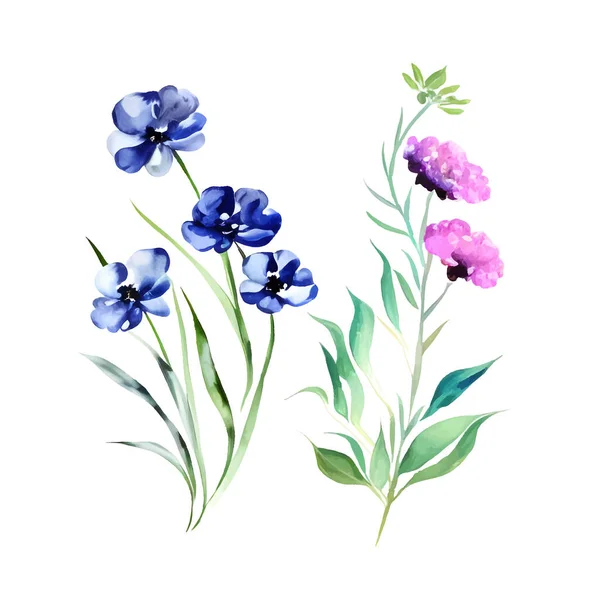 Aquarelle Fleurs Sauvages Florales Isolées Sur Blanc Vecteur Fleurs Feuilles — Image vectorielle