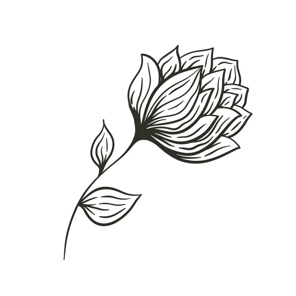 Einzelne Handgezeichnete Schwarze Blume Isoliert Auf Weißem Hintergrund Illustration Skizzenstil — Stockvektor