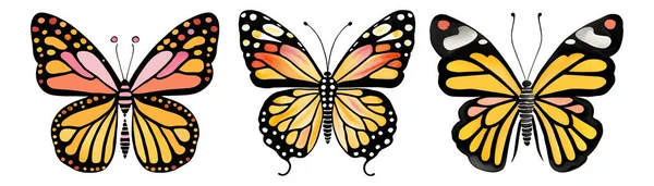 Wektor Pomarańczowy Kolor Monarcha Motyle Izolowane Białym Tle Ilustracja Wektora — Wektor stockowy