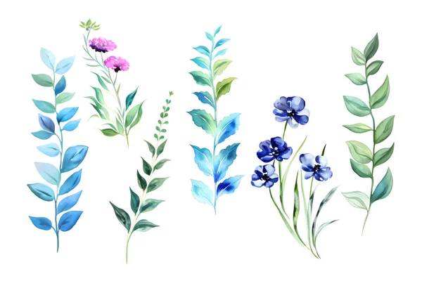 Ensemble Floral Aquarelle Illustration Peinte Main Herbes Forestières Verdure Fleurs — Image vectorielle