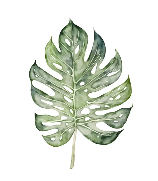 热带矢叶树 水彩画异国情调的植物叶子矢量说明 — 图库矢量图片