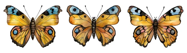Ensemble Papillon Monarque Illustration Vectorielle Dessinée Main Illustration Vectorielle — Image vectorielle