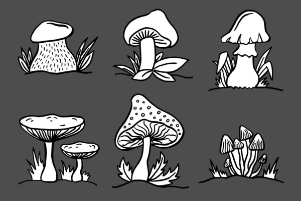 Conjunto Cogumelos Ilustrações Vetoriais Isoladas Cinza Estilo Dos Desenhos Animados — Vetor de Stock