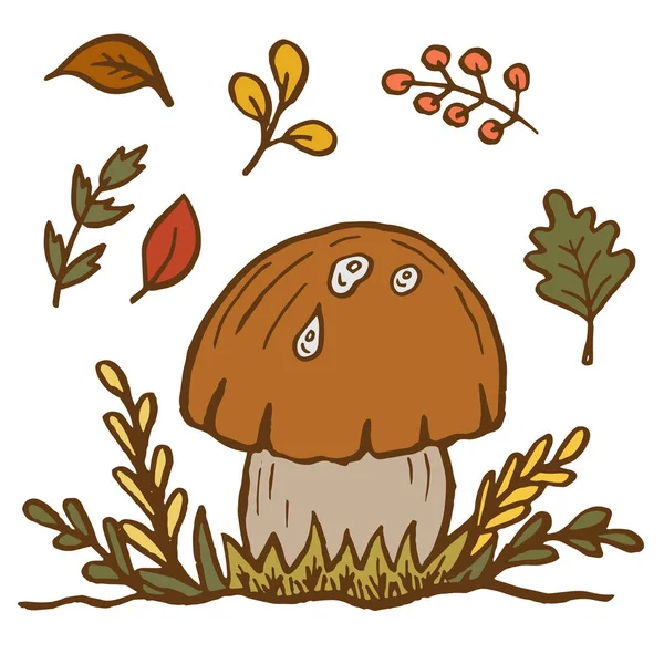 用蘑菇 树叶和浆果作媒介说明 一套秋林植物 放飞玛瑙和山楂 采集植物标本园 矢量说明 — 图库矢量图片