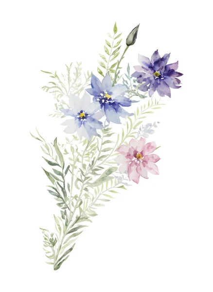 Bouquet Délicat Fleurs Sauvages Herbes Plantes Aquarelle Isolée Sur Fond — Image vectorielle