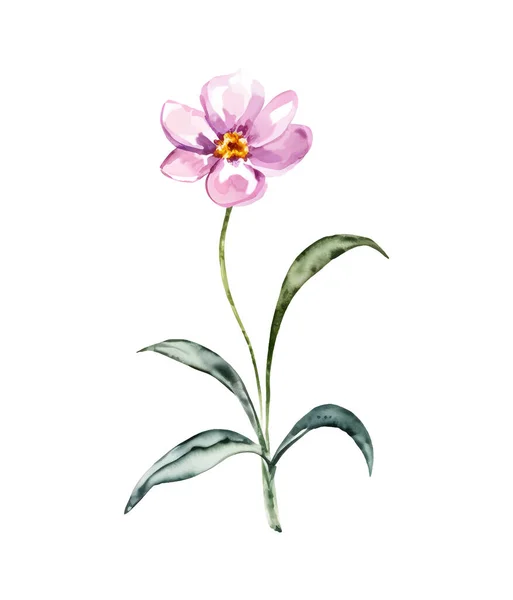 Fleur Rose Illustration Florale Aquarelle Elément Décoratif Floral Fleurs Sauvages — Image vectorielle