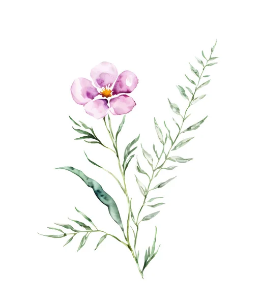 Aquarelle Rose Fleur Sauvage Délicate Fleur Sauvage Isolée Sur Blanc — Image vectorielle