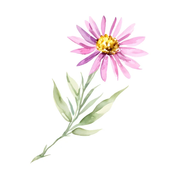Acuarela Flor Rosa Simple Vector Delicado Aislado Flores Silvestres Ilustración — Vector de stock