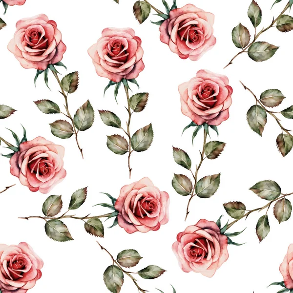 Vintage Nahtlose Muster Rosa Aquarell Rosen Isoliert Auf Weißem Hintergrund — Stockvektor