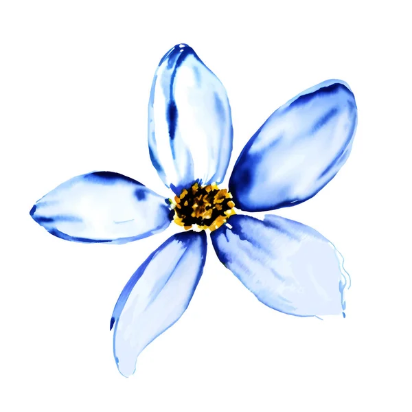 Tête Fleur Aquarelle Bleue Rapprochée Vectorielle Isolée Sur Fond Blanc — Image vectorielle