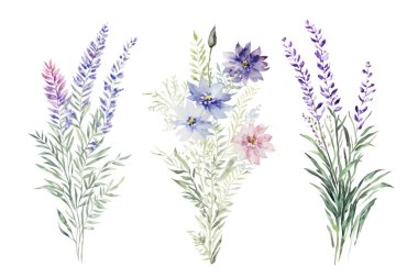 Bir buket yabani çiçek, kır çiçekleri Provence bitkisi yeşil ataç sanat vektörü. Vektör illüstrasyonu