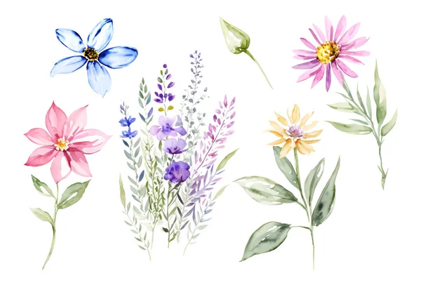Collection Aquarelle Peint Main Fleurs Sauvages Fleurs Prairie Sur Fond — Image vectorielle
