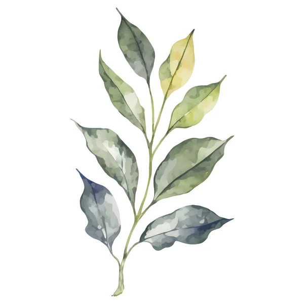 Botanická Akvarel Ilustrace Zelených Listů Větev Strom Detailní Izolované Kliparty — Stockový vektor