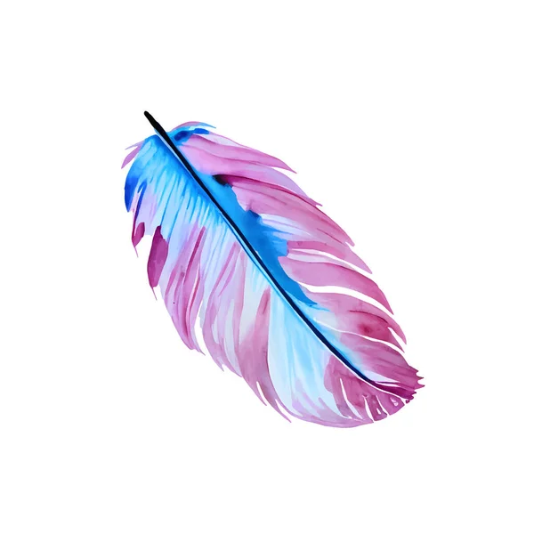 Vector Watercolor Colourful Feather Isolated White Background Vector Illustration — Stock Vector