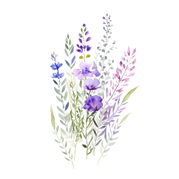 Aquarelle Violette Rose Fleur Sauvage Délicate Isolé Sur Blanc Vecteur — Image vectorielle