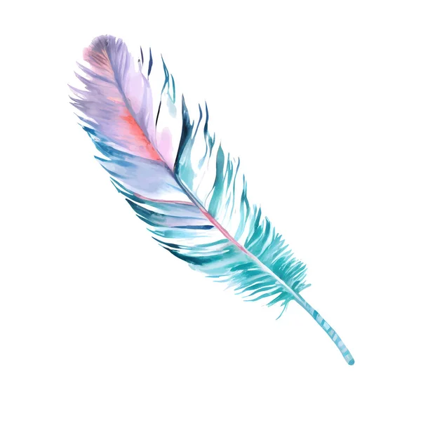 Vector Watercolor Colorful Blue Pink Feather Isolated White Background Vector — Stock Vector