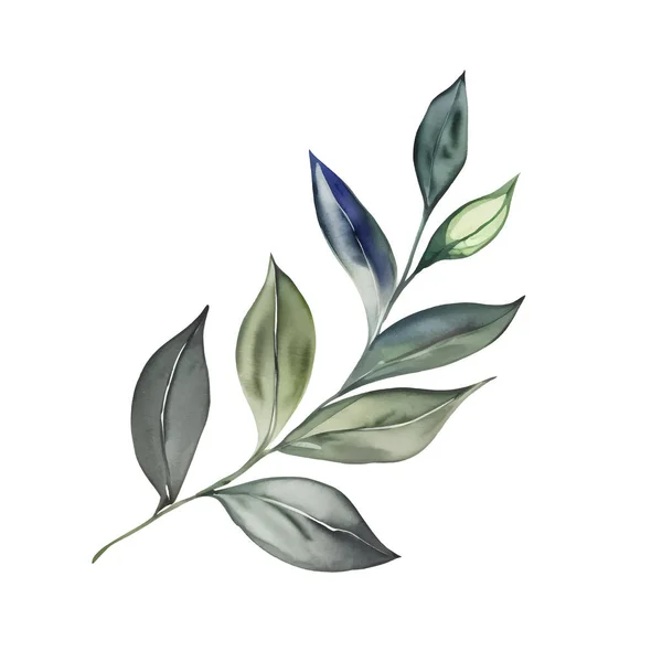 植物水彩画的枝叶树与绿叶隔离的山崖手绘背景 设计元素 矢量说明 — 图库矢量图片