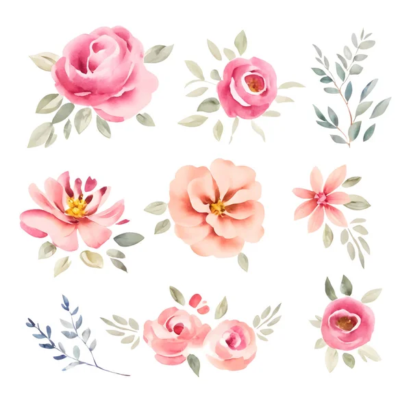 Akvarell Samling Handritade Abstrakta Blommor Blommor Set Med Enkla Rosor — Stock vektor