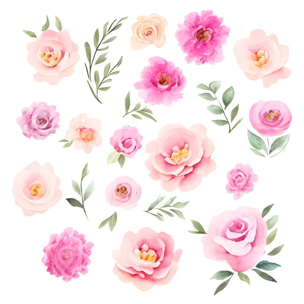 Flores Aquarela Conjunto Floral Com Cor Pastel Rosa Planta Flor —  Vetores de Stock