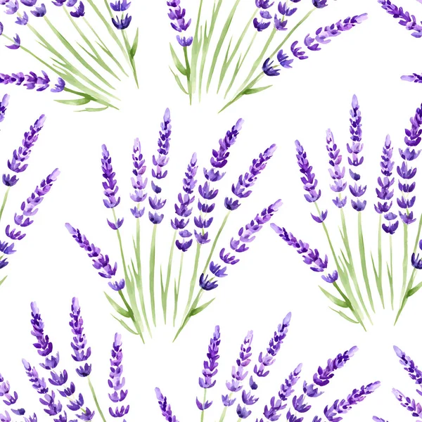 Levandulový Vzor Akvarel Provence Pozadí Vektorová Ilustrace — Stockový vektor