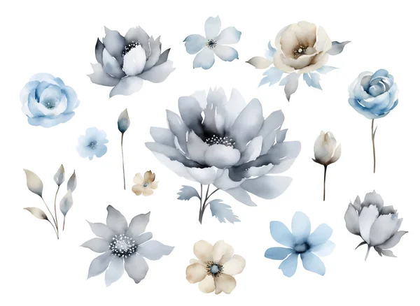Conjunto Flores Azuis Aquarela Elementos Design Coleção Rosas Ilustração Botânica —  Vetores de Stock