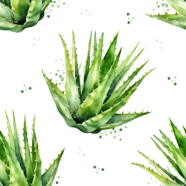 Aquarela Aloe Vera Sem Costura Padrão Isolado Branco Ilustração Vetorial — Vetor de Stock