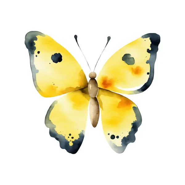 Beyaz Arka Planda Izole Edilmiş Sarı Kelebek Suluboya Vektör Illüstrasyonu — Stok Vektör