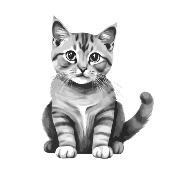 Black White Vector Illustration Kitten Isolated White Background Pencil Sketch — Stock Vector