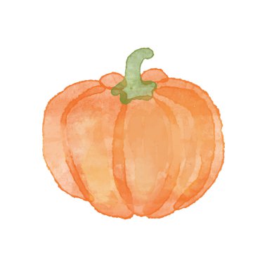 Suluboya turuncu balkabağı, vektör sonbahar çizimi. Vektör illüstrasyonu