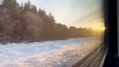 Tren istasyonundan kış ormanı manzarası. Yüksek kalite 4k görüntü