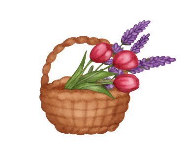 Lale çiçekli suluboya sepet, Paskalya bayramı bahar sembolü. Vektör illüstrasyonu