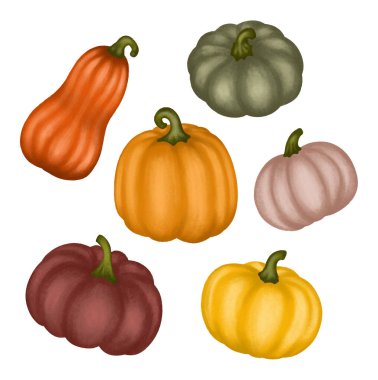 Sonbahar balkabaklarını beyaz arkaplanda izole et. Vektör illüstrasyonu