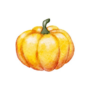 Portakal rengi sarı balkabağı arka planda kesilmiş, Şükran Günü tatili tasarımı. Vektör illüstrasyonu