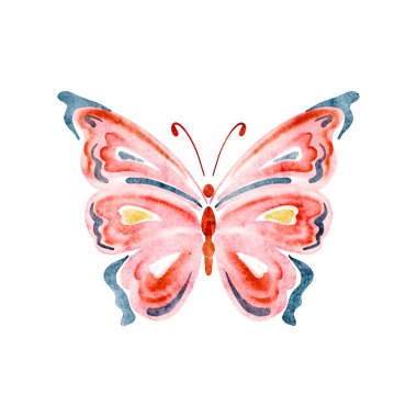 Beyaz üzerinde pembe kanatları olan tatlı suluboya kelebek. Vektör illüstrasyonu