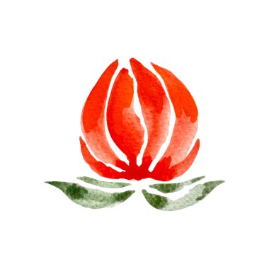 Suluboya kırmızı çiçek, nilüfer tomurcuğu, spa sembolü logo, yoga süsü. Vektör illüstrasyonu