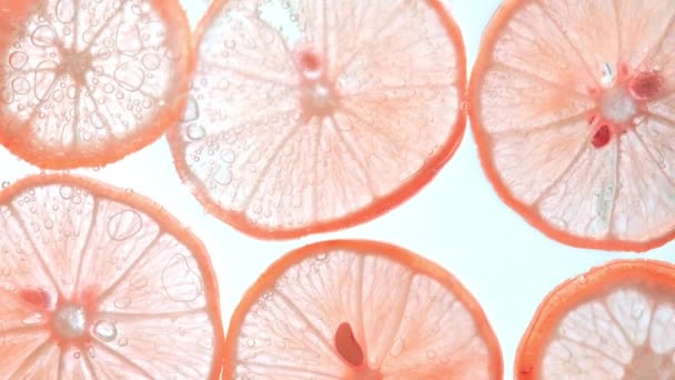 多汁柠檬片 水底有气泡 与白色背景隔离 橙石灰片图案纹理背景 — 图库视频影像