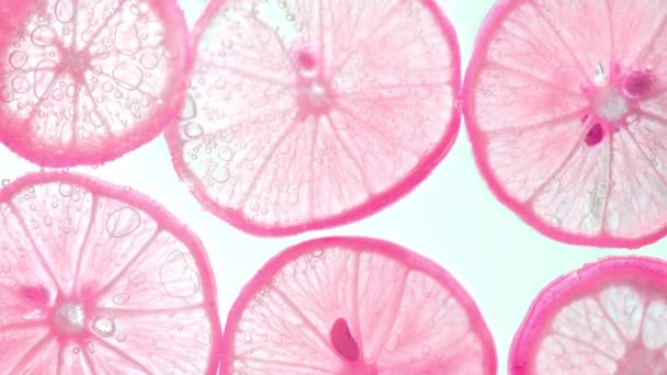 多汁柠檬片 水底有气泡 与白色背景隔离 粉红石灰片图案纹理背景 — 图库视频影像