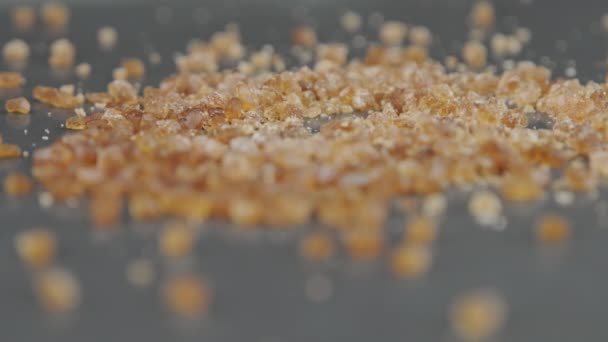 Primer Plano Azúcar Caña Morena Plato Cristales Grandes Textura Natural — Vídeos de Stock