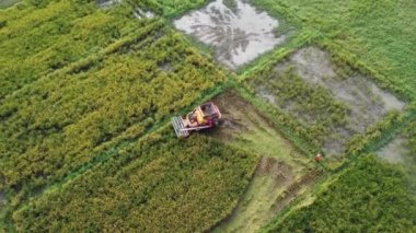Dronlar hasat mevsiminden sonra pirinç samanı üreten işçiler üzerinde uçarlar. Kuzey Tayland 'da büyük pirinç tarlalarında, çiftçi yaşam tarzında. Pirinç tarlası ve hasat makinesinin hava görüntüsü.