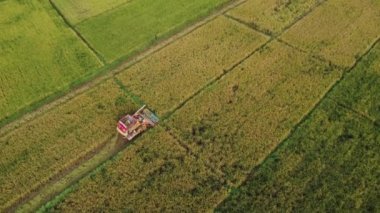 Dronlar hasat mevsiminden sonra pirinç samanı üreten işçiler üzerinde uçarlar. Kuzey Tayland 'da büyük pirinç tarlalarında, çiftçi yaşam tarzında. Pirinç tarlası ve hasat makinesinin hava görüntüsü.