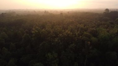 Sabahları bulutlar ve sisli güzel gündoğumu sırasında gökyüzü ve güneş ışığı manzarası. Sabah erken saatlerde dağlarda doğal gökyüzü arkaplanı