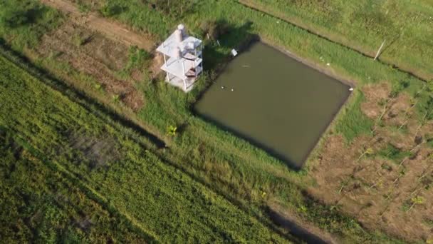 农村地区农业池塘的空中景观 农业集水区 充足经济的概念 — 图库视频影像