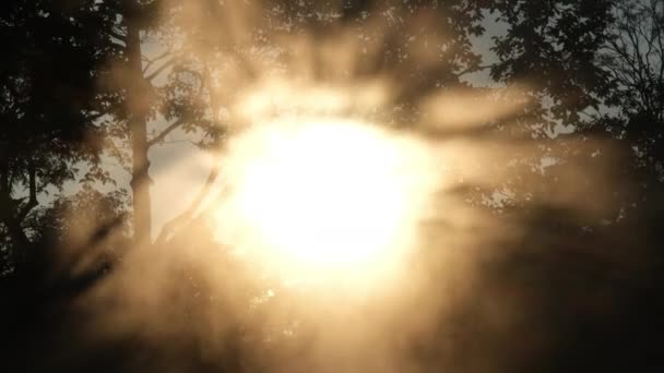 泰国的温泉和雾带着晨光 泰国兰榜省自然温泉茶森国家公园的早晨气氛 — 图库视频影像