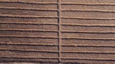 Aerial view of preparing land with seedbed cultivator in early spring season and rows of plants growing in vast fields with dark fertile soil. Agricultural landscape.