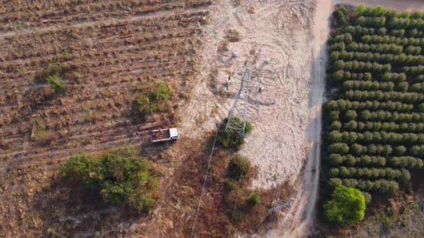 Aerial View Workers Loading Eucalyptus Logs Pickup Truck Harvest Plantation — Stock Video