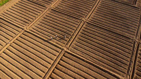 Aerial View Farmer Preparing Land Seedbed Cultivator Part Pre Seeding — Zdjęcie stockowe